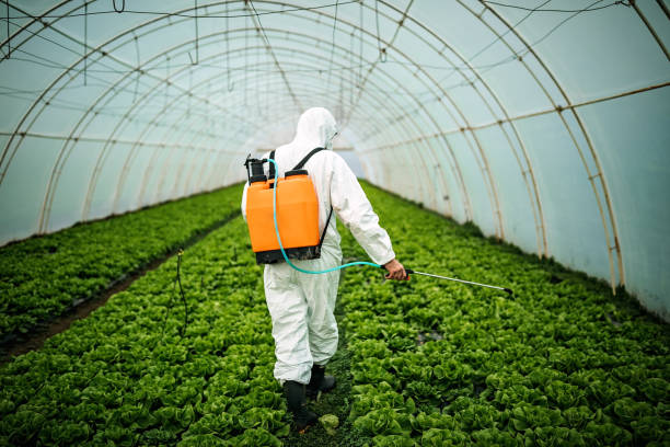 Best Commercial Pest Control Services  in Avondale, LA