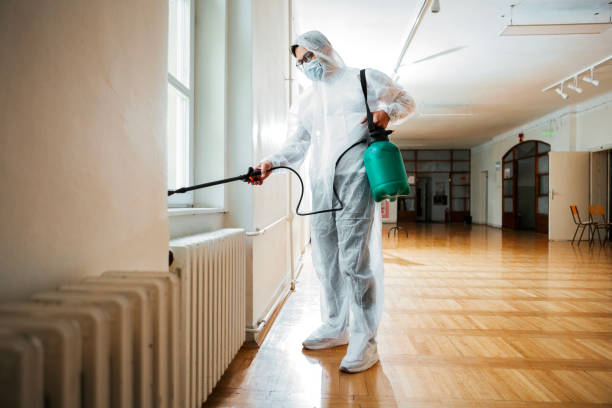Flea Control Services in Avondale, LA